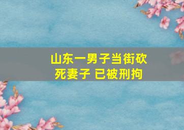 山东一男子当街砍死妻子 已被刑拘